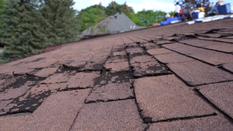 Best Tile Roofing Installation  in Long Beach, WA